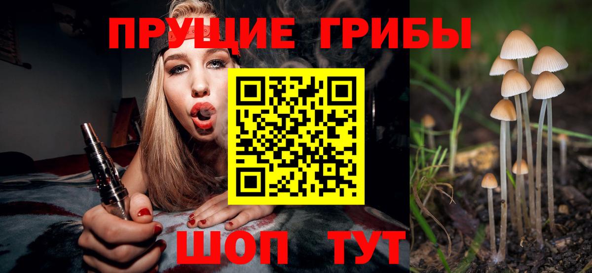 Калуга  Псилоцибиновые грибы Psilocybine cubensis  где купить наркоту  Вход с VPN 
